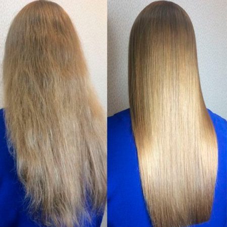 resultados organic lizz